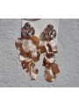 Leaf Ston Errings Beige