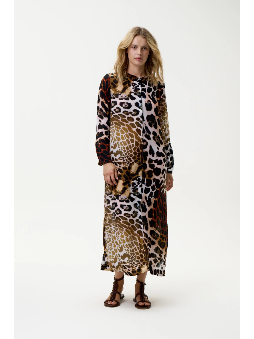 lipari India Leopard